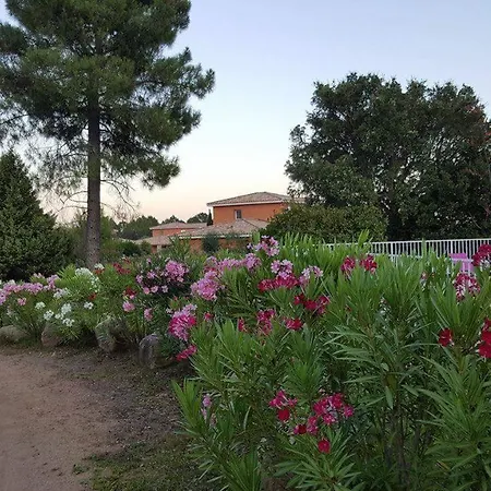 Porto Vecchio - Riviera- Santa Giulia